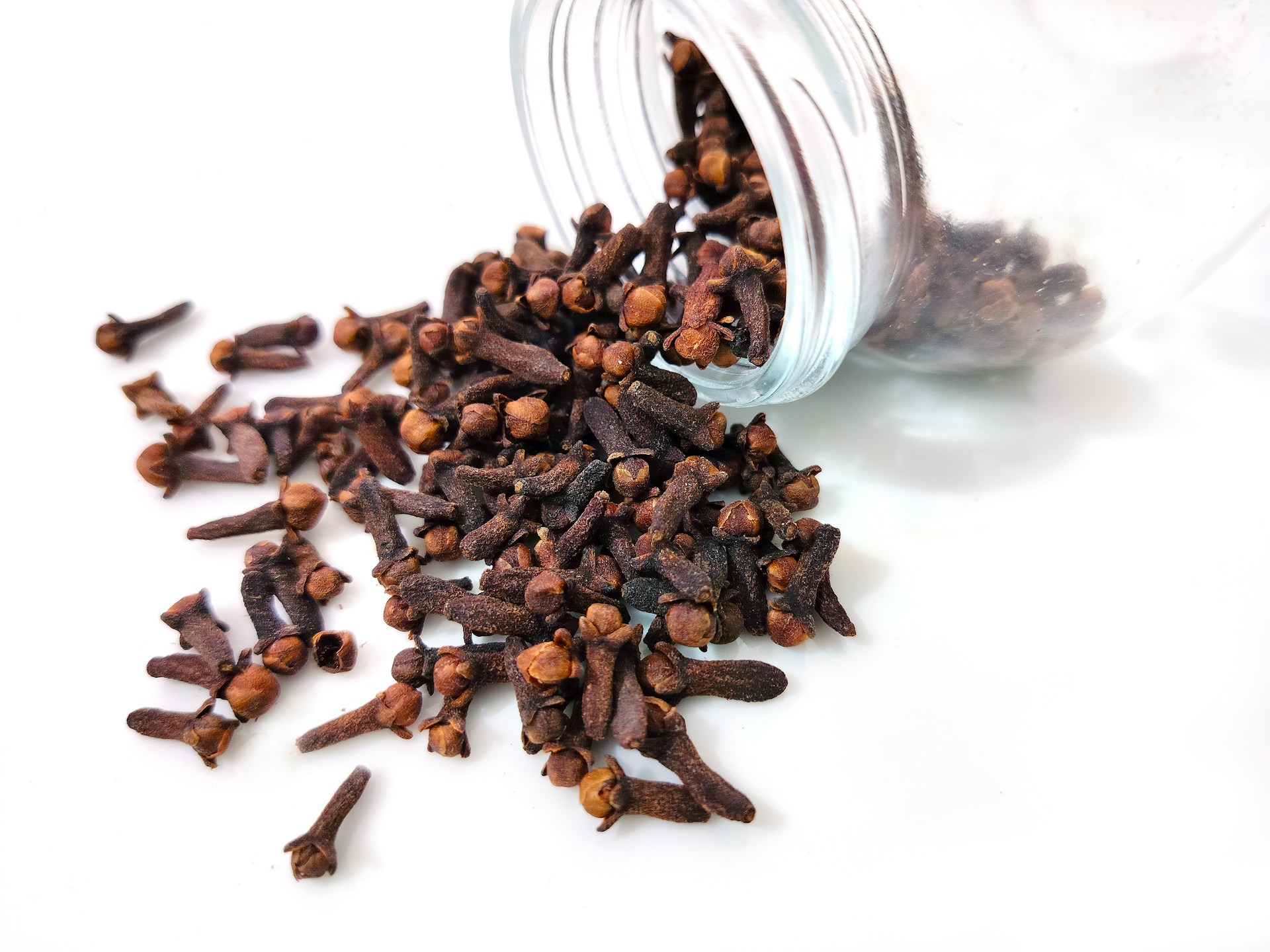 Image for Cloves and Parasites: Why This Ancient Spice Still Matters